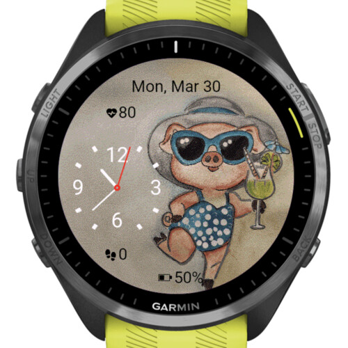 Summer Pig Vibes 4
