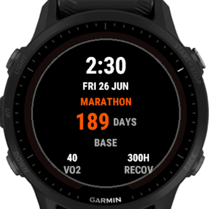 Race Countdown Watch · Screenshot 0