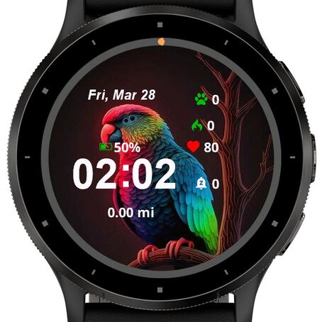 The Rainbow Parrot · Screenshot 0