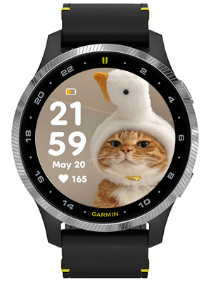 Little silly cat · Screenshot 1