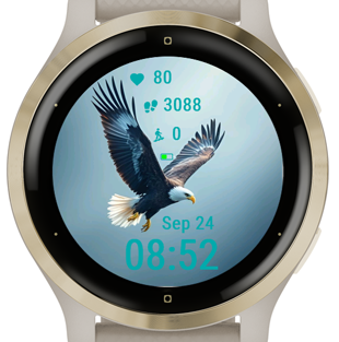 Eagle Soar · Screenshot 1