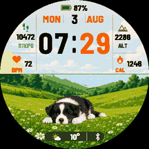 Border Collie Trial · Screenshot 0