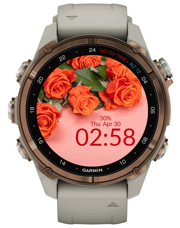 Orange Roses 4