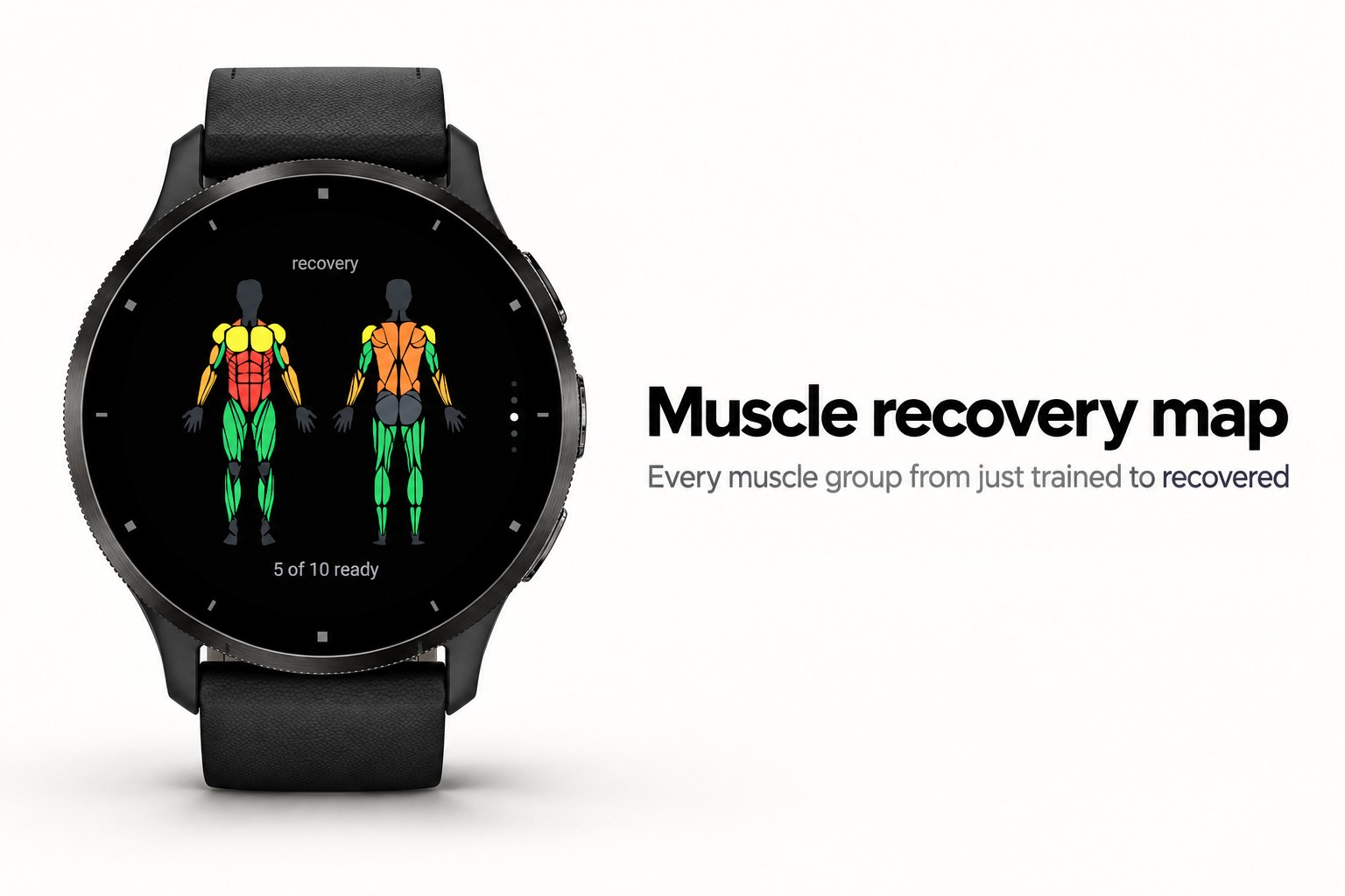 Anvil - Gym Tracker & Muscle Recovery · Screenshot 0