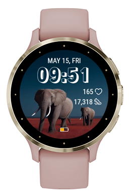 Gray Elephant · Screenshot 2