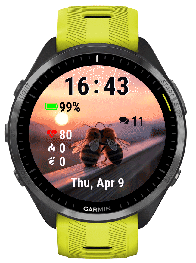 BEES · Screenshot 0