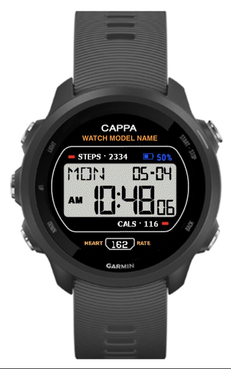 Vintage Digital CAPPA A171WE 4
