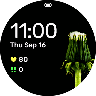 Dandy · Screenshot 0
