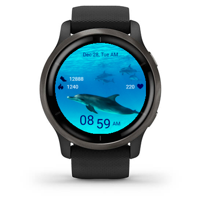 Dolphin 02 · Screenshot 1