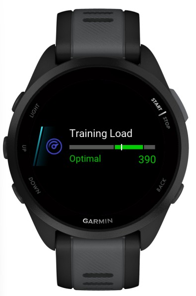 Training Load 2