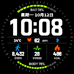 Pulse Dial FR255 数据表盘 · Screenshot 0