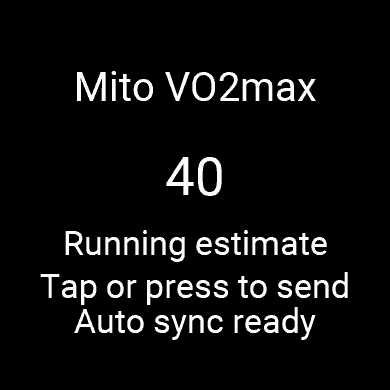 Mito VO2max · צילום מסך 3