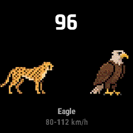 Wild Speed · Screenshot 0
