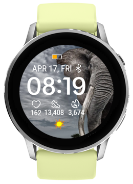 Gray Elephant 4