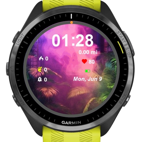 Palm Tree · Screenshot 0