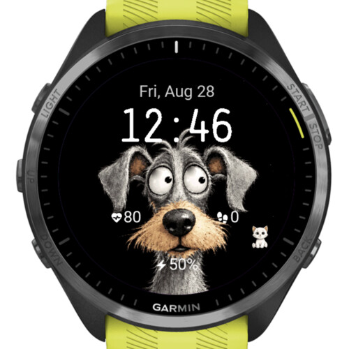 Dog and Cat Animated · Screenshot 2