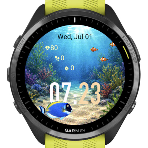 Ocean · Screenshot 1