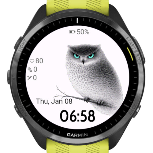 Silent Owl Focus · Screenshot 1