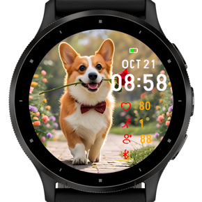 Welsh Corgi · Screenshot 2