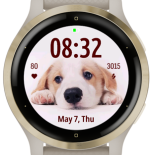 Thinking Dog · Screenshot 0