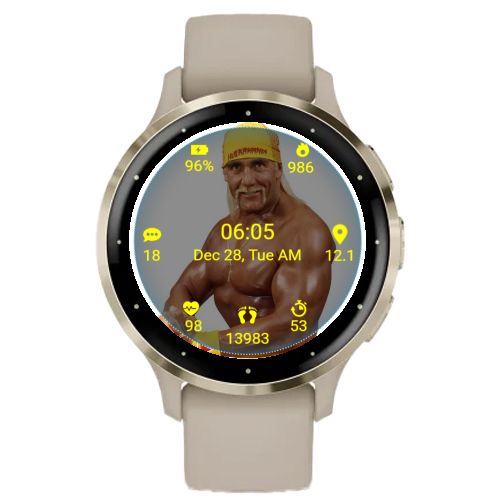 WWF Superstar Hulk Hogan 3
