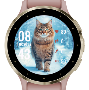 Beautiful Cat · Screenshot 1
