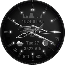Fenix 8 Steel Wings B&W Design TRIAL · Screenshot 0