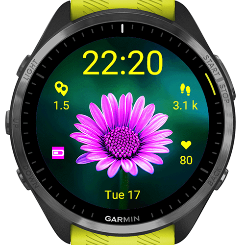 Purple Daisy Flower G · Screenshot 0