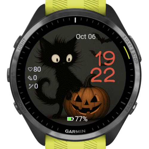 Halloween Black Cat Pumpkin · Screenshot 1