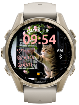 Garden Cat 5
