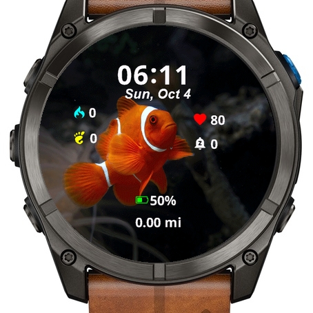Fish Coral · Screenshot 1