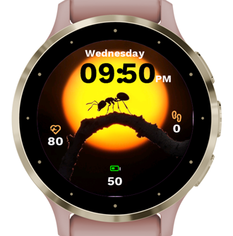 Twilight Ant · Screenshot 1