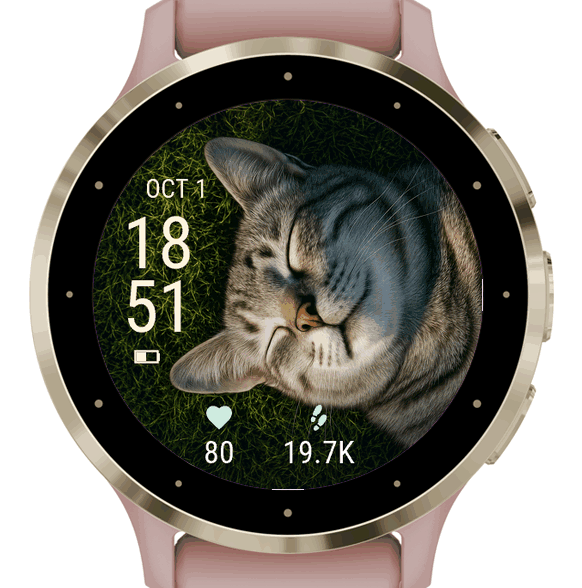 sleeping cat portrait · Screenshot 0