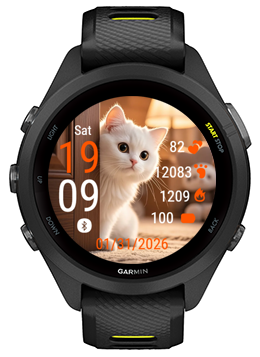 White Kitten · Screenshot 0