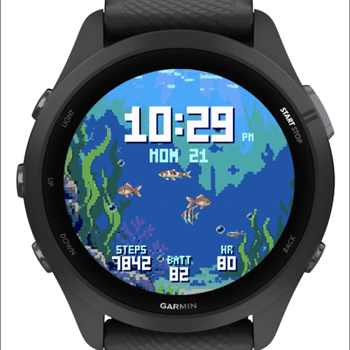 Aquarium · Screenshot 3