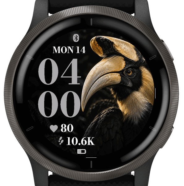 Onyx Hornbill · Screenshot 3