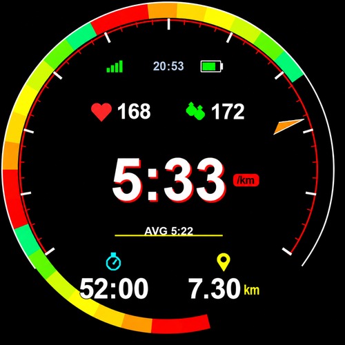 SpeedoRun 炫彩跑步速度表数据字段 · Screenshot 3