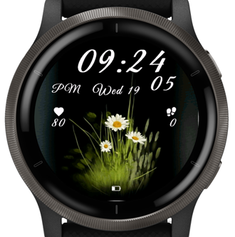 Meadow Daisy · Screenshot 1