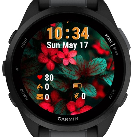 Red Flowers · Screenshot 2