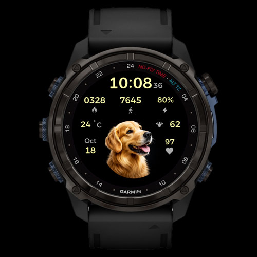 Golden Retriver Digital 2