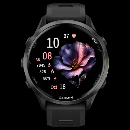 Velvet Bloom 3