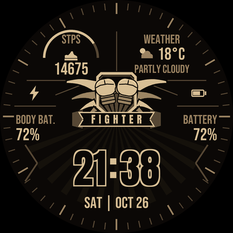 Fighter Watch · Screenshot 0