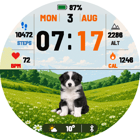 Border Collie Trial · Screenshot 1