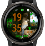 Pine Jay · Screenshot 3