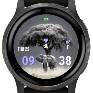 Safari Icon · Screenshot 3