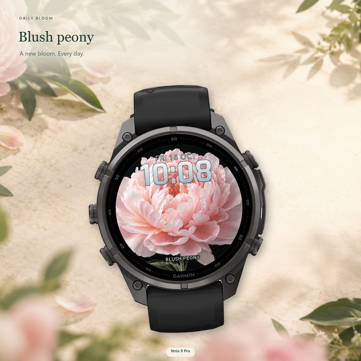 Daily Bloom · Snímek obrazovky 0