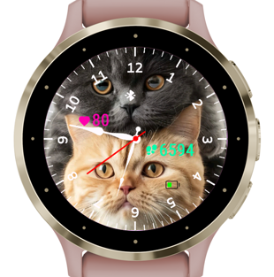 Cats · Screenshot 3