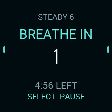 Breathe Cadence · Screenshot 2