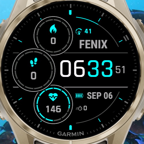Fenix 8 Solar Like · Screenshot 2