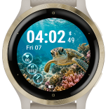 Coral Turtle · G · Screenshot 2